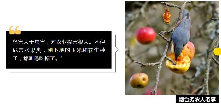 QQ截圖20231212103746.jpg QQ截圖20231212103746.jpg