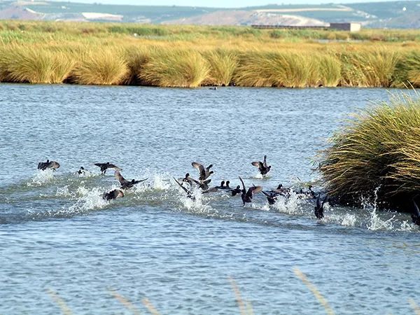 20231212_100809_002.jpg 20231212_100809_002.jpg