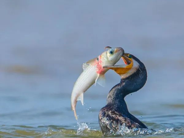 20231212_100835_008.jpg 20231212_100835_008.jpg