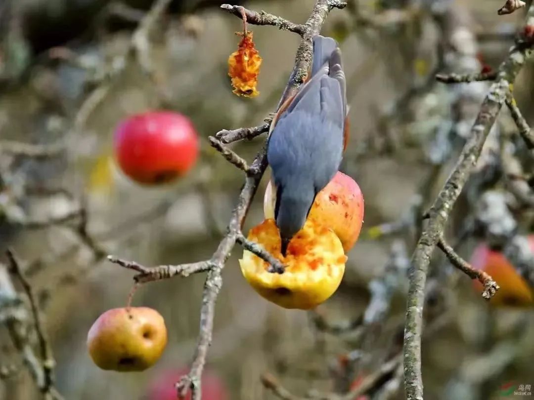 20231212_100835_009.jpg 20231212_100835_009.jpg