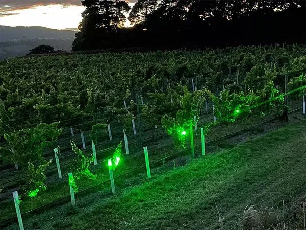 20231212_100835_010.jpg 20231212_100835_010.jpg